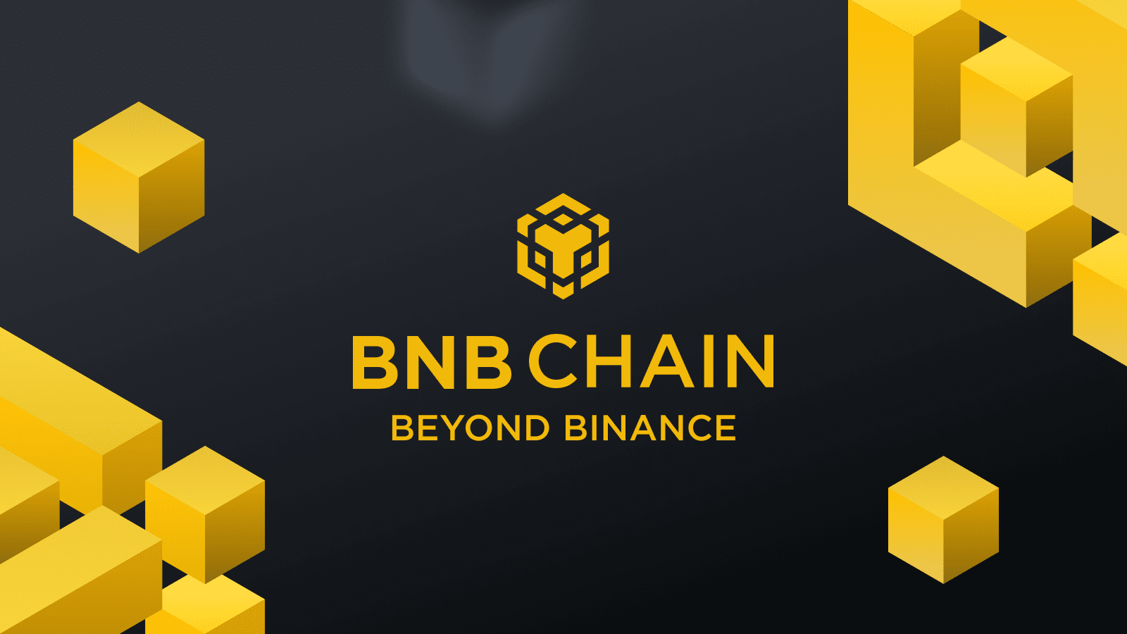 BNB Chain The Evolution of Binance Smart Chain