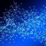 Blockchain Powered Metaverse