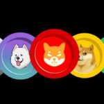 Memecoin BONK PEPE SHIB Crypto