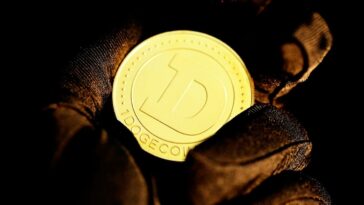 X launches dedicated payments account, crypto community speculates