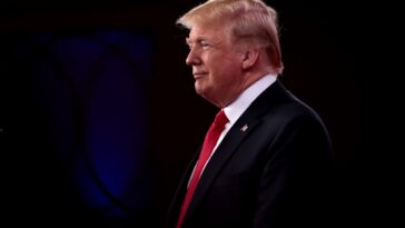 Trump's Re-Election Sparks Crypto Rally: What's Fueling the Surge?