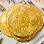 Bitcoin's Record-Setting Inflows and the Rising Optimism Around Digital Assets